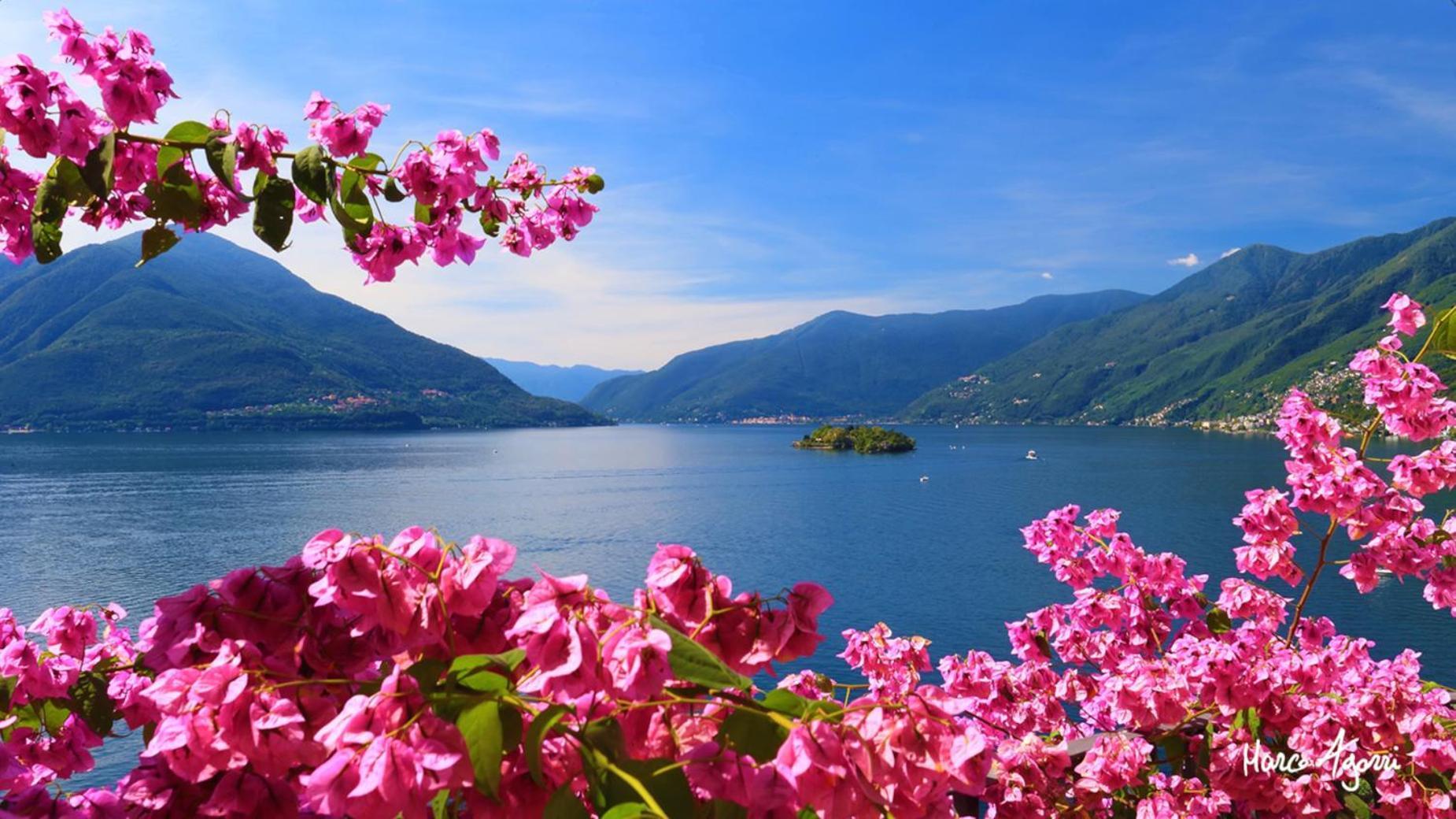 Charme Hotel Al Torchio Ascona Bagian luar foto